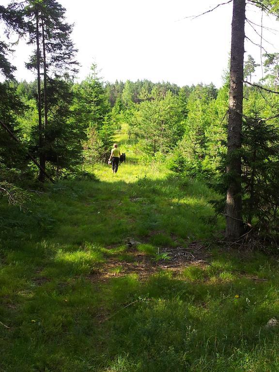 Maenniste Holiday Home Hiievalja Szoba fotó