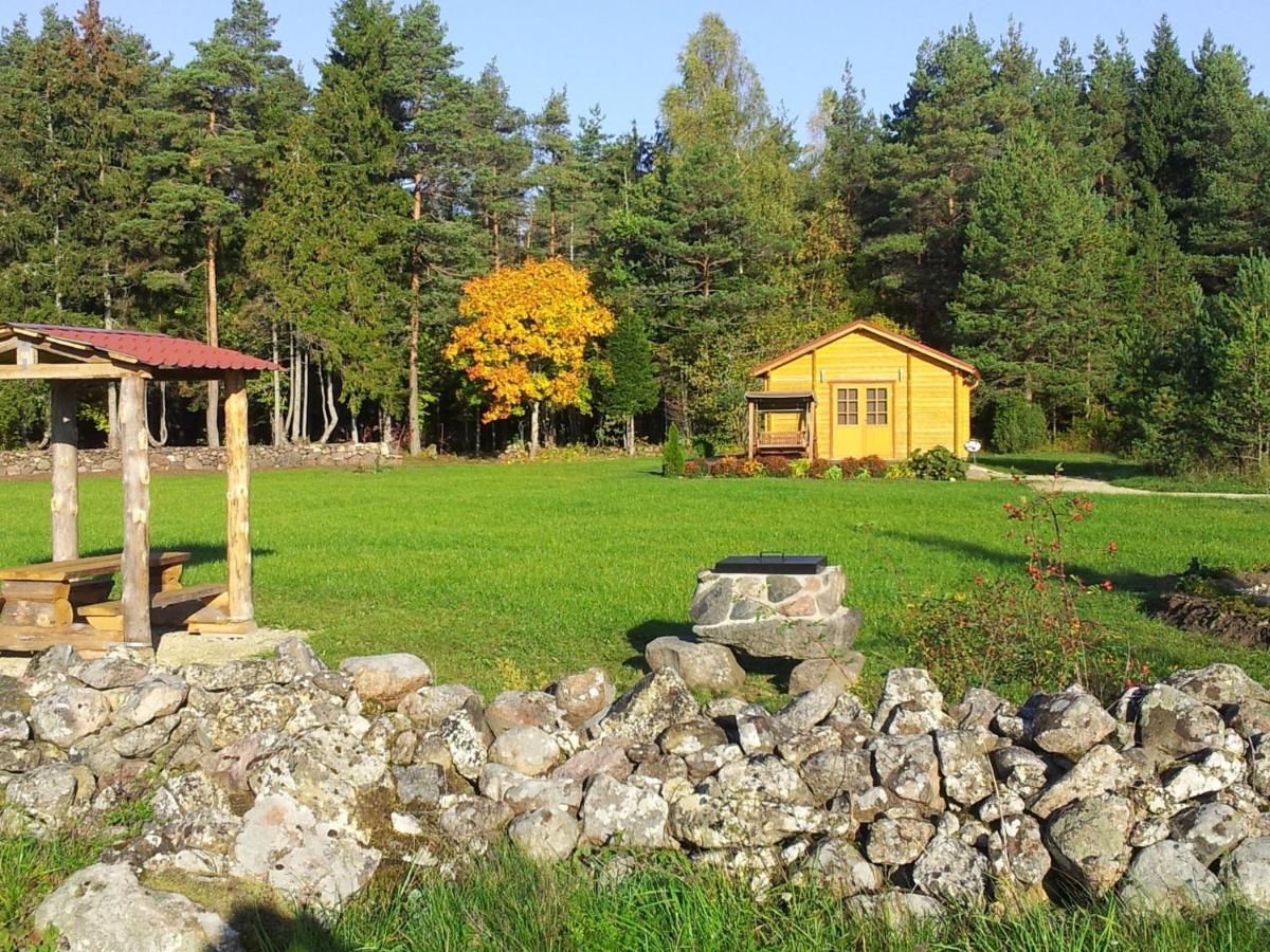 Maenniste Holiday Home Hiievalja Szoba fotó
